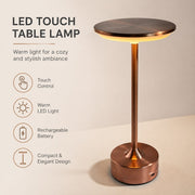Iron Art LED Night Light, Touch Sensor, Rechargeable, Ambient Table Lamp, Gift for Birthday