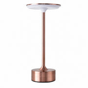 Iron Art LED Night Light, Touch Sensor, Rechargeable, Ambient Table Lamp, Gift for Birthday – Rose gold