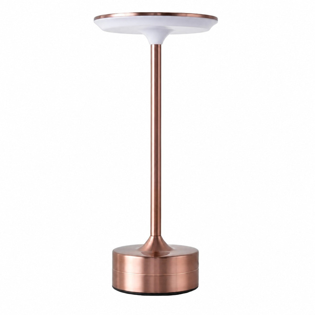 Iron Art LED Night Light, Touch Sensor, Rechargeable, Ambient Table Lamp, Gift for Birthday – Rose gold