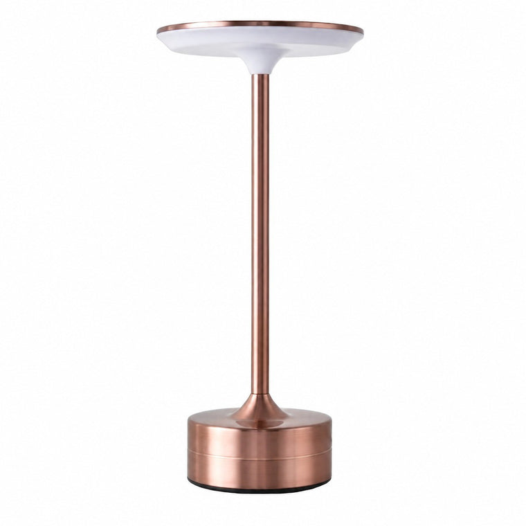 Iron Art LED Night Light, Touch Sensor, Rechargeable, Ambient Table Lamp, Gift for Birthday – Rose gold