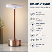 Iron Art LED Night Light, Touch Sensor, Rechargeable, Ambient Table Lamp, Gift for Birthday