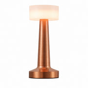 LED Dumbbell Night Light, Creative Decorative Table Lamp, Metal Nordic Style, Rechargeable – Dumbbell + acrylic style-silver
