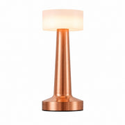 LED Dumbbell Night Light, Creative Decorative Table Lamp, Metal Nordic Style, Rechargeable – Dumbbell+acrylic style-gold