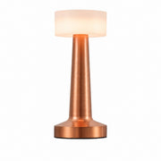 LED Dumbbell Night Light, Creative Decorative Table Lamp, Metal Nordic Style, Rechargeable – Dumbbell + acrylic style - red copper color