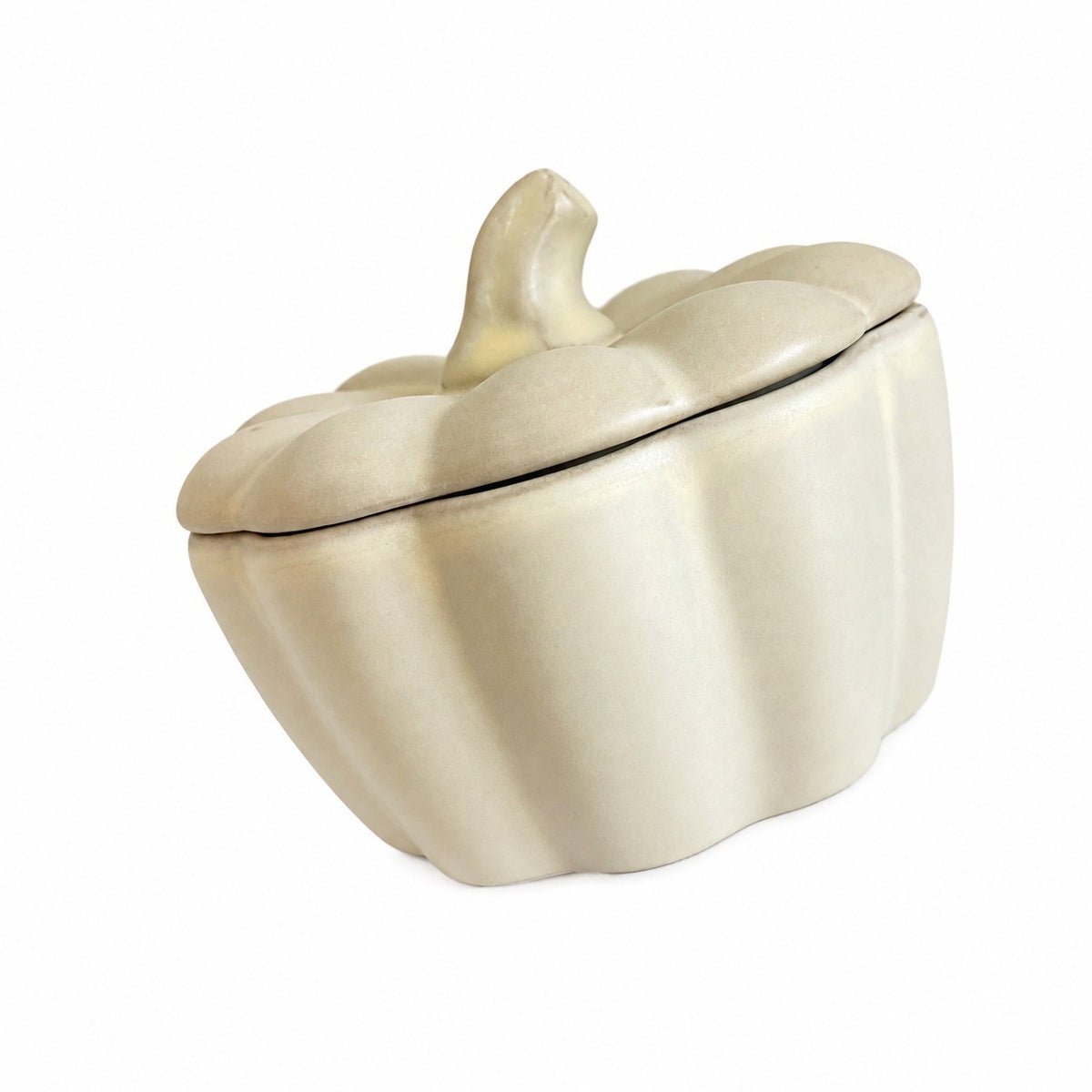 Ceramic Lidded Stew Cup, Matte Pumpkin, Soup Pot with Lid - product view 1