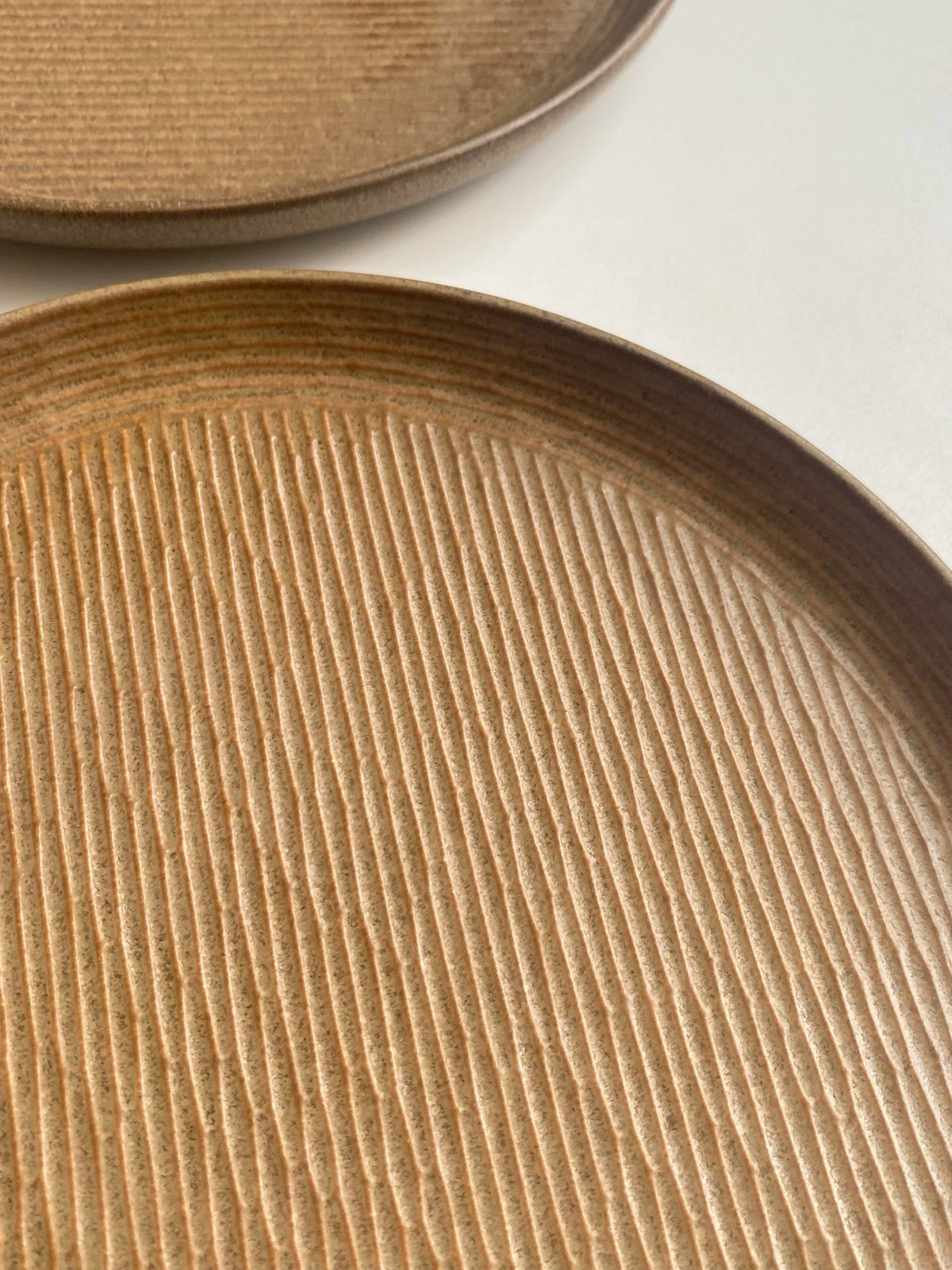 Embossed Stone Texture Ceramic Plate, 21 x 2.2 cm, Relief Detailing, Underglaze Decoration - detail 3