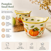Ceramic Small Bowl, Pumpkin Double-Handled, 13 x 8.8 cm, Decorative Serving Dish - detail 2