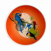 Small Dish Set, Ceramic Appetizer Plate - product view 4