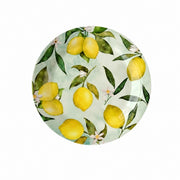 Decorative Shallow Plate, Ceramic Dinnerware - product view 25