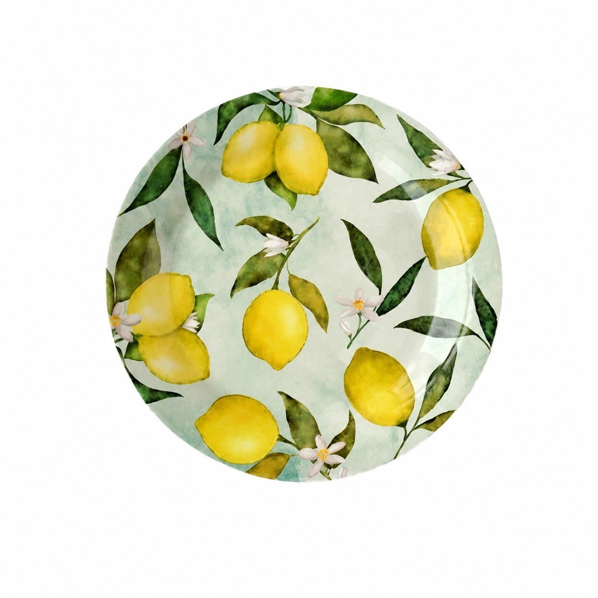 Decorative Shallow Plate, Ceramic Dinnerware - product view 25