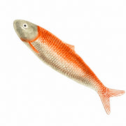 Ceramic Fish Platter, Serving Dish - product view 3