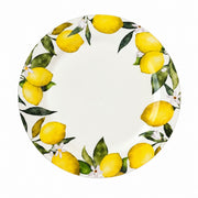 Decorative Shallow Plate, Ceramic Dinnerware - product view 4