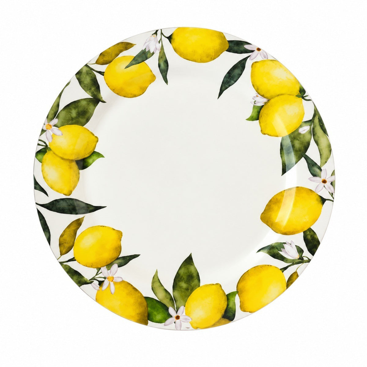 Decorative Shallow Plate, Ceramic Dinnerware - product view 4