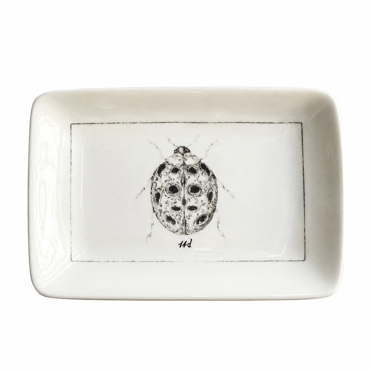 Small Square Dish, Ladybug Pattern, 2 Pieces Set - product view 2